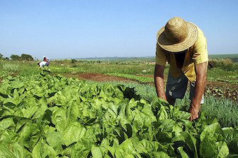 Servicios de Derecho Agrario